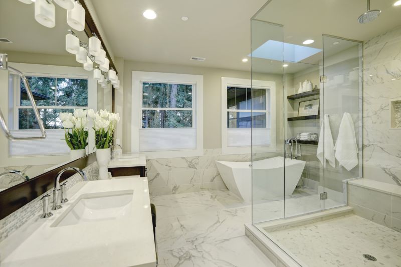 Luxury Master Bathroom Upgrade